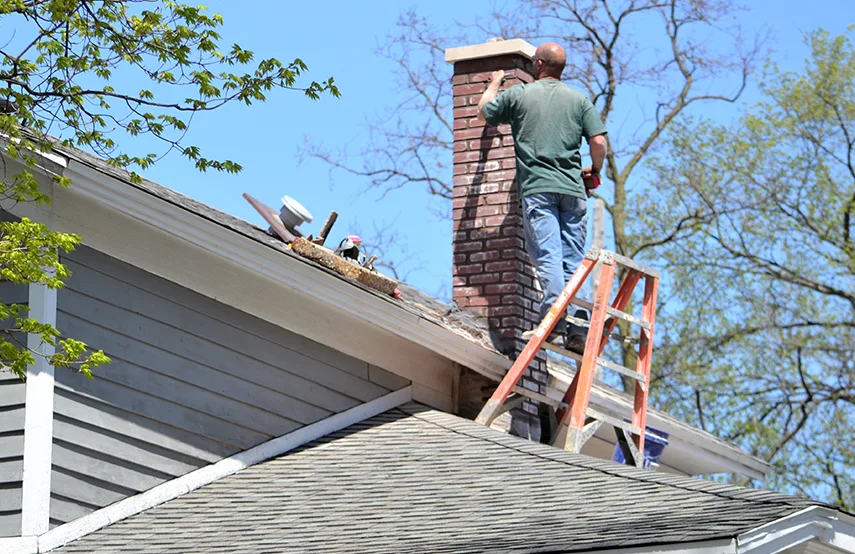 Chimney & Fireplace Inspections Services in Deerfield, IL